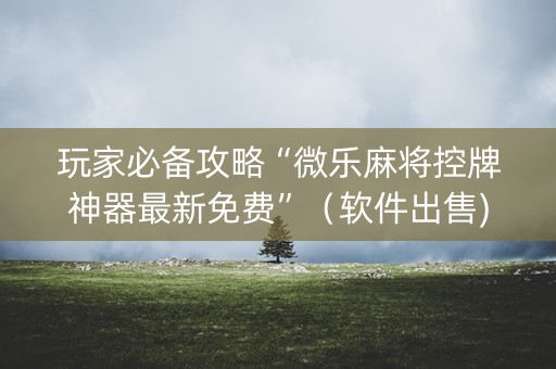 玩家必备攻略“微乐麻将控牌神器最新免费”（软件出售)