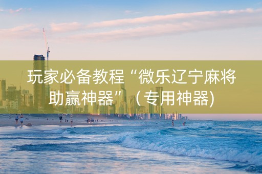 玩家必备教程“微乐辽宁麻将助赢神器”（专用神器)