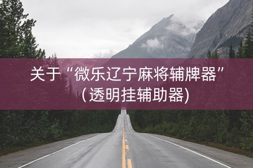 关于“微乐辽宁麻将辅牌器”（透明挂辅助器)