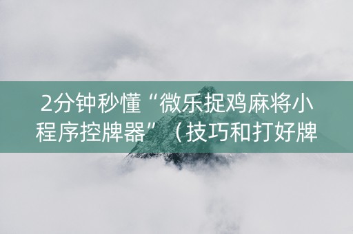 2分钟秒懂“微乐捉鸡麻将小程序控牌器”（技巧和打好牌方法)