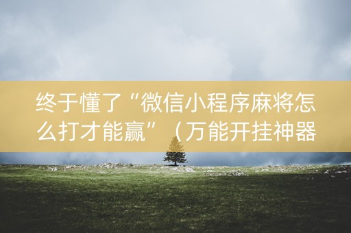 终于懂了“微信小程序麻将怎么打才能赢”（万能开挂神器)