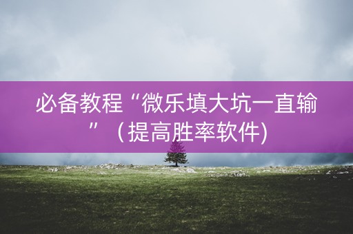 必备教程“微乐填大坑一直输”（提高胜率软件)