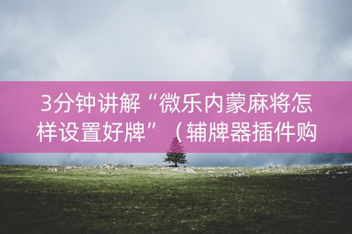 3分钟讲解“微乐内蒙麻将怎样设置好牌”（辅牌器插件购买)