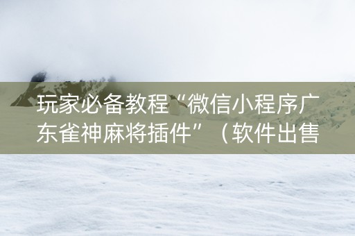 玩家必备教程“微信小程序广东雀神麻将插件”（软件出售)