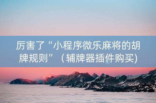 厉害了“小程序微乐麻将的胡牌规则”（辅牌器插件购买)