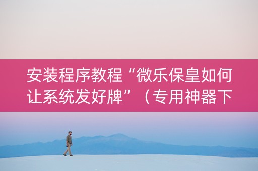 安装程序教程“微乐保皇如何让系统发好牌”（专用神器下载)