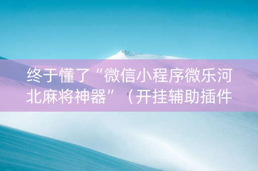 终于懂了“微信小程序微乐河北麻将神器”（开挂辅助插件)