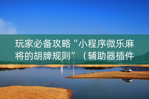玩家必备攻略“小程序微乐麻将的胡牌规则”（辅助器插件)