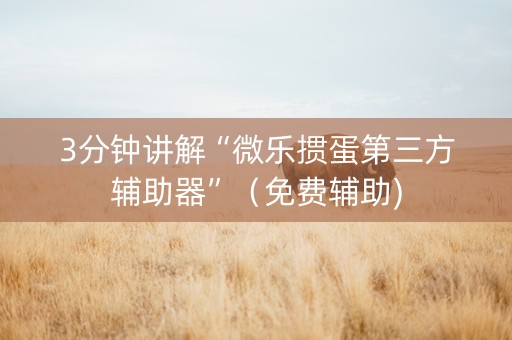 3分钟讲解“微乐掼蛋第三方辅助器”（免费辅助)