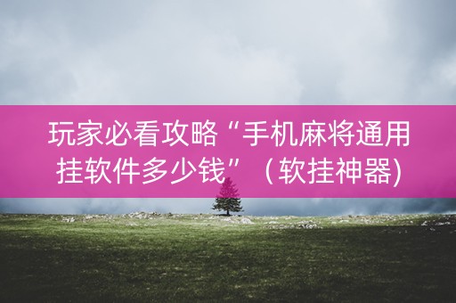 玩家必看攻略“手机麻将通用挂软件多少钱”（软挂神器)