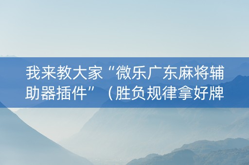 我来教大家“微乐广东麻将辅助器插件”（胜负规律拿好牌)