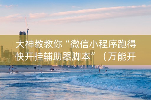 大神教教你“微信小程序跑得快开挂辅助器脚本”（万能开挂神器)