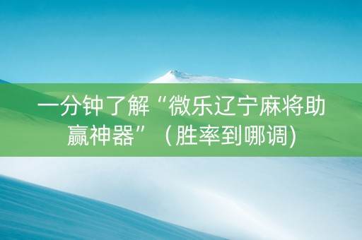 一分钟了解“微乐辽宁麻将助赢神器”（胜率到哪调)