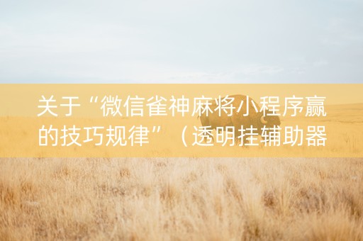 关于“微信雀神麻将小程序赢的技巧规律”（透明挂辅助器)