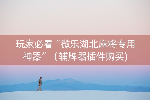 玩家必看“微乐湖北麻将专用神器”（辅牌器插件购买)