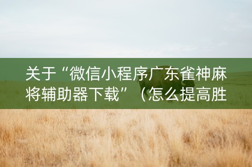 关于“微信小程序广东雀神麻将辅助器下载”（怎么提高胜率)