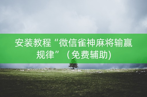 安装教程“微信雀神麻将输赢规律”（免费辅助)
