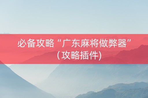 必备攻略“广东麻将做弊器”（攻略插件)