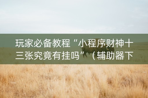 玩家必备教程“小程序财神十三张究竟有挂吗”（辅助器下载)