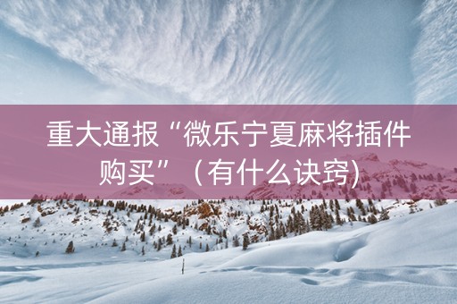 重大通报“微乐宁夏麻将插件购买”（有什么诀窍)