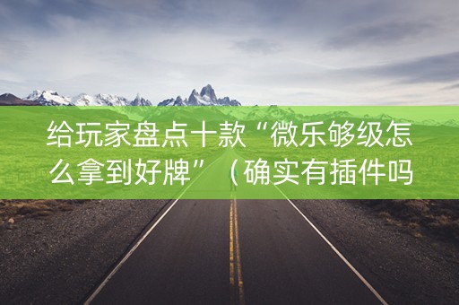 给玩家盘点十款“微乐够级怎么拿到好牌”（确实有插件吗)