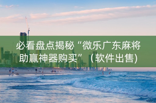 必看盘点揭秘“微乐广东麻将助赢神器购买”（软件出售)
