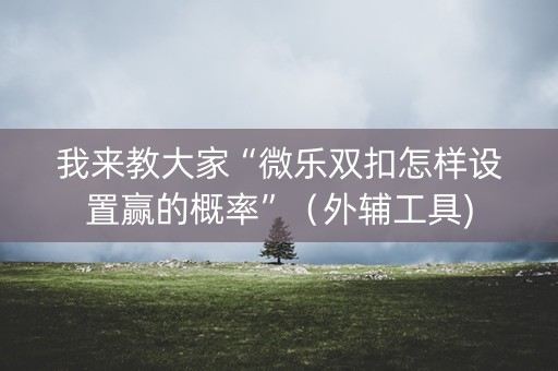 我来教大家“微乐双扣怎样设置赢的概率”（外辅工具)