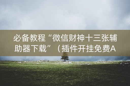 必备教程“微信财神十三张辅助器下载”（插件开挂免费AI)