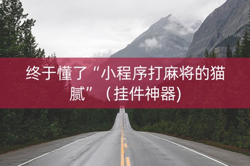 终于懂了“小程序打麻将的猫腻”（挂件神器)
