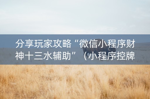 分享玩家攻略“微信小程序财神十三水辅助”（小程序控牌器)