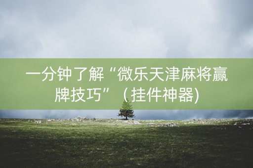 一分钟了解“微乐天津麻将赢牌技巧”（挂件神器)