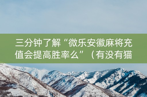 三分钟了解“微乐安徽麻将充值会提高胜率么”（有没有猫腻)
