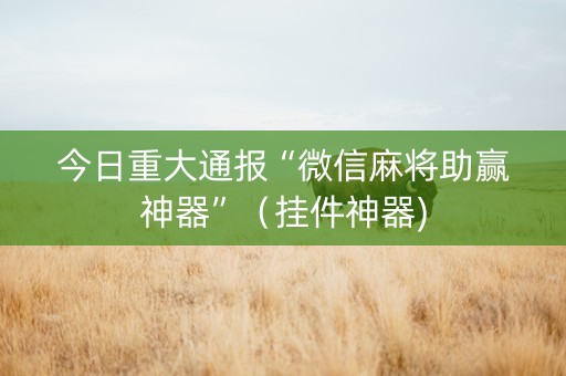 今日重大通报“微信麻将助赢神器”（挂件神器)