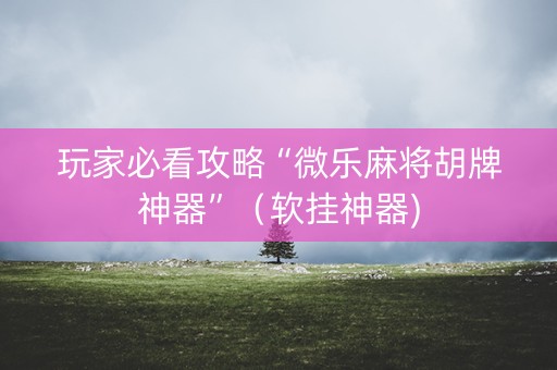 玩家必看攻略“微乐麻将胡牌神器”（软挂神器)