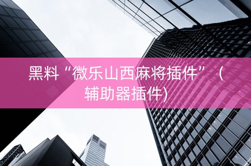 黑料“微乐山西麻将插件”（辅助器插件)