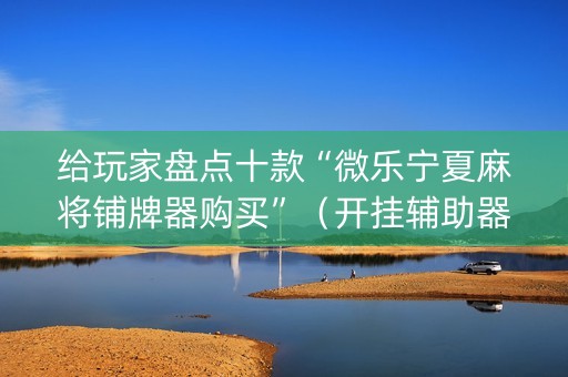 给玩家盘点十款“微乐宁夏麻将铺牌器购买”（开挂辅助器插件)