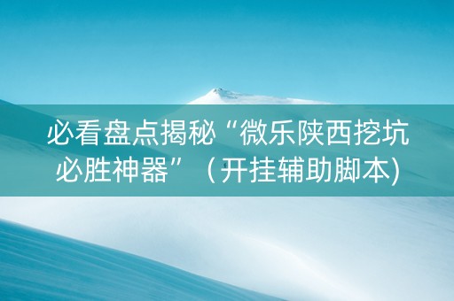 必看盘点揭秘“微乐陕西挖坑必胜神器”（开挂辅助脚本)