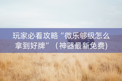 玩家必看攻略“微乐够级怎么拿到好牌”（神器最新免费)