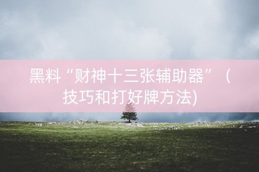 黑料“财神十三张辅助器”（技巧和打好牌方法)