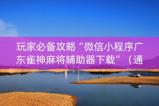 玩家必备攻略“微信小程序广东雀神麻将辅助器下载”（通用挂软件多少钱)