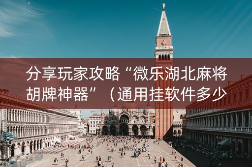 分享玩家攻略“微乐湖北麻将胡牌神器”（通用挂软件多少钱)