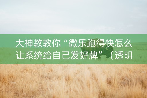 大神教教你“微乐跑得快怎么让系统给自己发好牌”（透明挂辅助器)