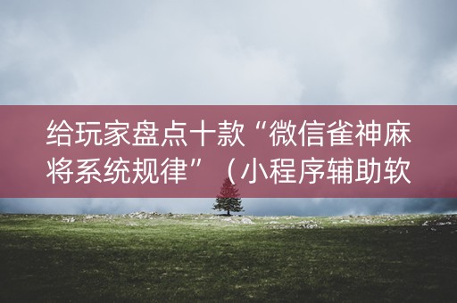 给玩家盘点十款“微信雀神麻将系统规律”（小程序辅助软件)