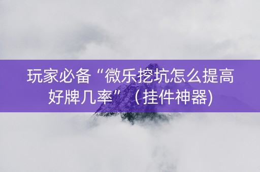 玩家必备“微乐挖坑怎么提高好牌几率”（挂件神器)