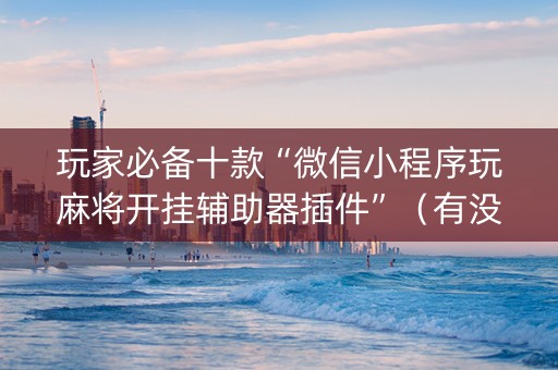 玩家必备十款“微信小程序玩麻将开挂辅助器插件”（有没有猫腻)