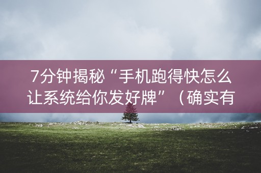 7分钟揭秘“手机跑得快怎么让系统给你发好牌”（确实有插件吗)