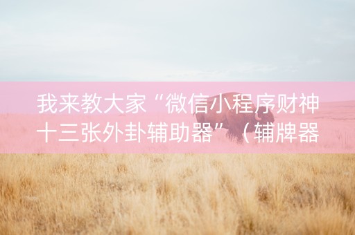我来教大家“微信小程序财神十三张外卦辅助器”（辅牌器插件购买)