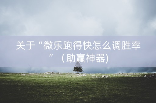 关于“微乐跑得快怎么调胜率”（助赢神器)