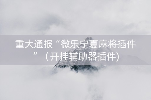 重大通报“微乐宁夏麻将插件”（开挂辅助器插件)