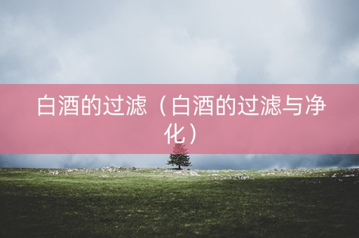 白酒的过滤（白酒的过滤与净化）